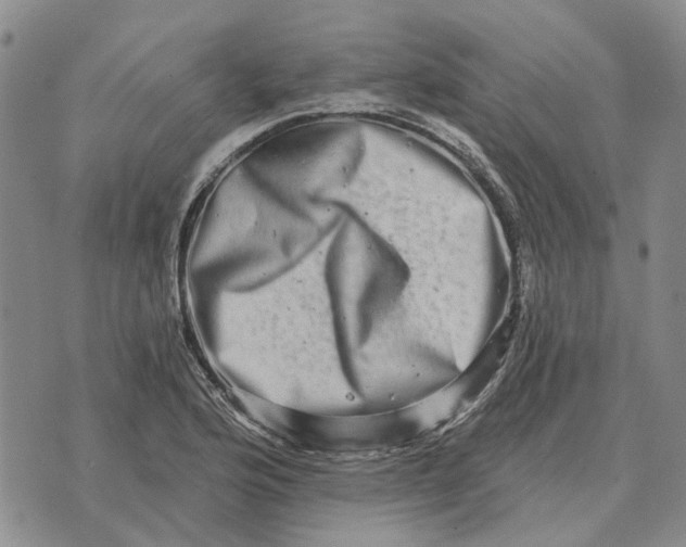 X0000072541176200608041615