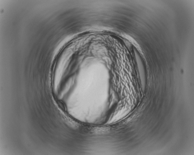 X0000072541183200608041614