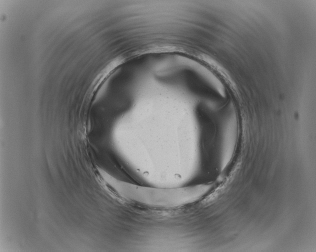 X0000072541193200608041614