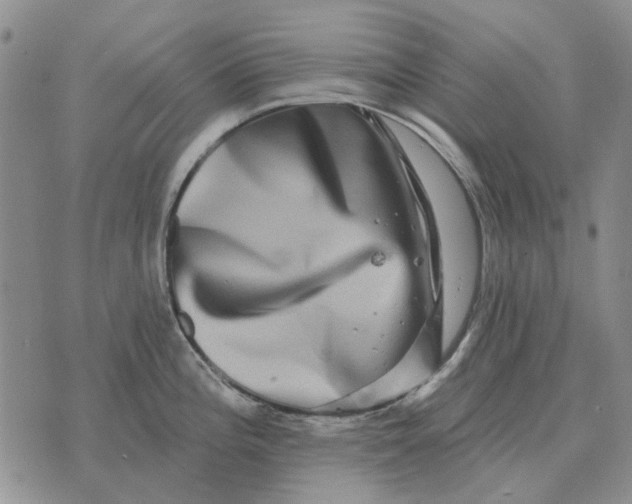 X0000072541196200608041614