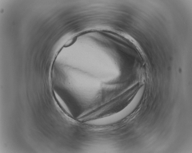 X0000072541199200608041614