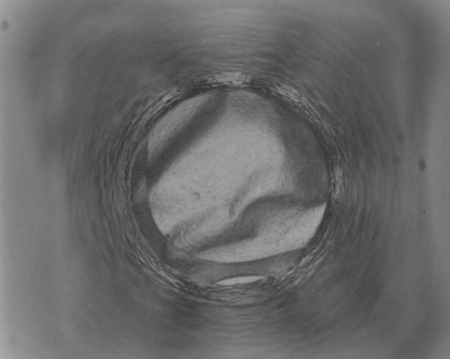 X0000072541201200608041613