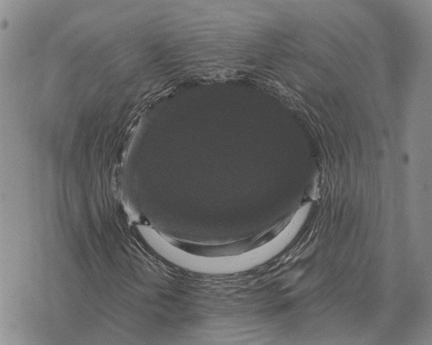 X0000072541202200608041613