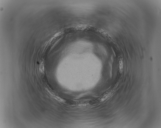X0000072541204200608041613