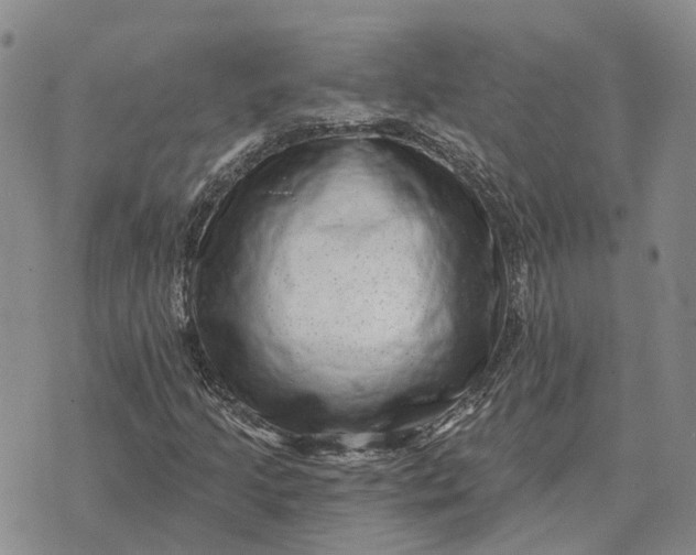 X0000072541205200608041613