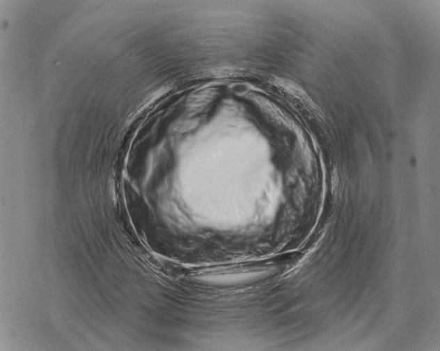 X0000072541209200608041614