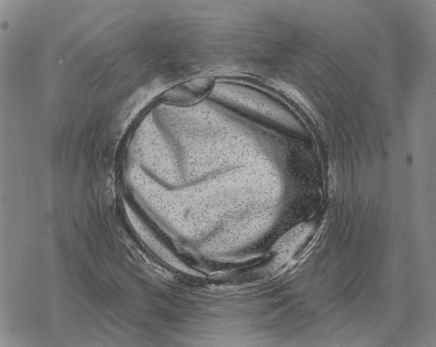 X0000072541212200608041614
