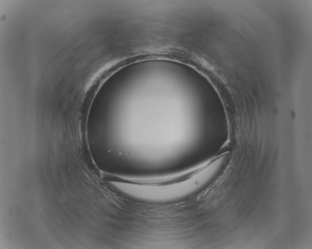 X0000072541214200608041614