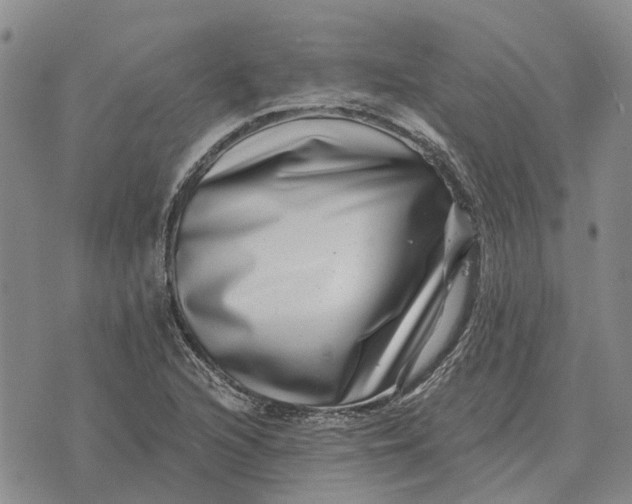 X0000072541216200608041614