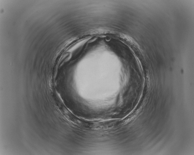 X0000072541217200608041614
