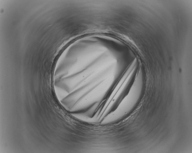 X0000072541220200608041614