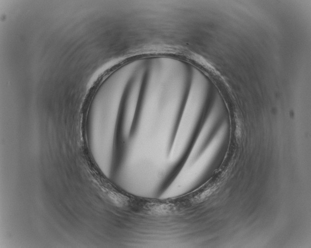 X0000072541222200608041614