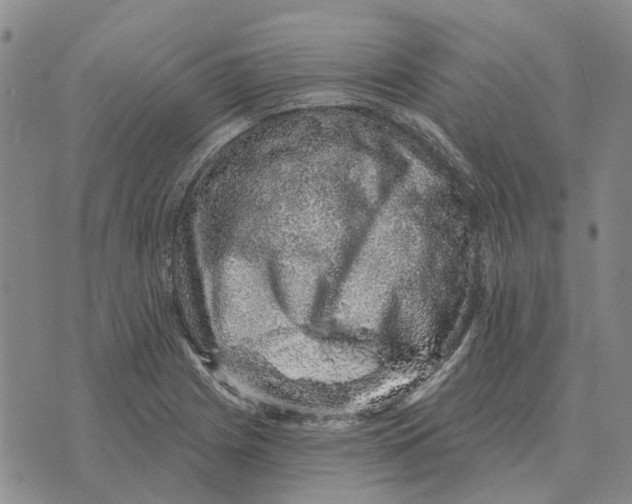 X0000072541225200608041614