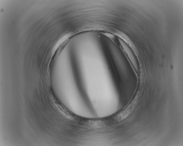 X0000072541242200608041614