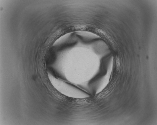 X0000072541249200608041613