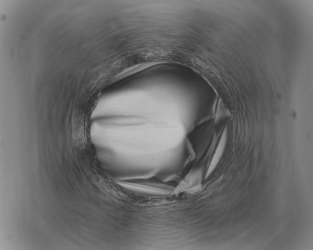 X0000072541250200608041613