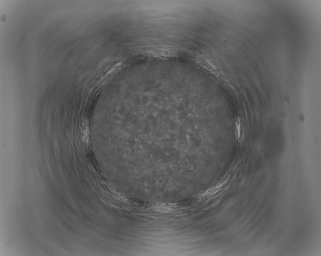 X0000072541251200608041613