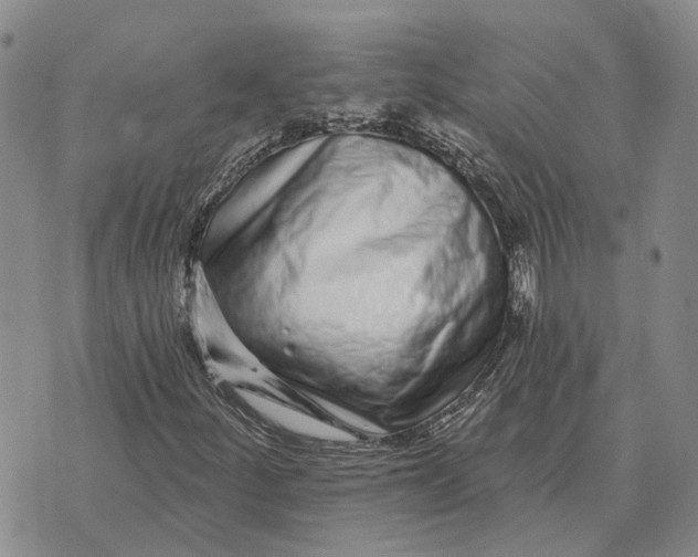 X0000072541252200608041613