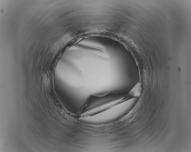 X0000072541257200608041613