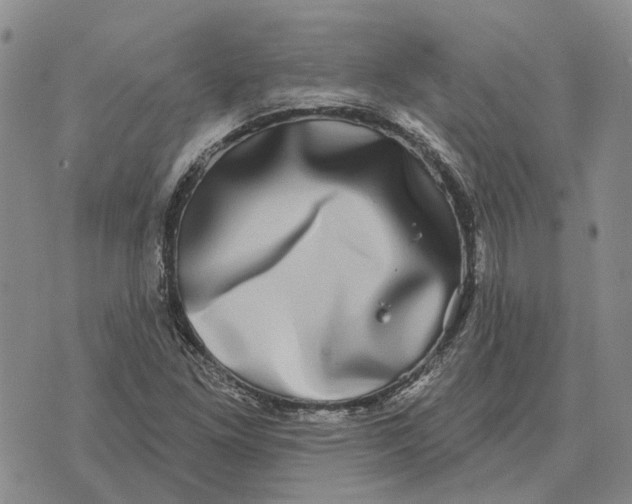 X0000072541261200608041613