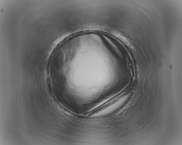 X0000072541264200608041613