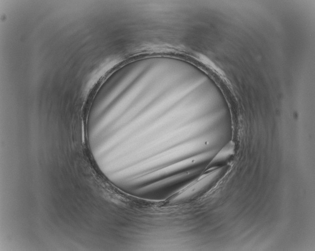 X0000072541269200608041613