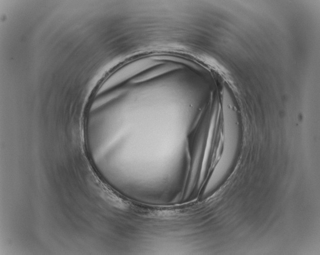 X0000072541280200608041613