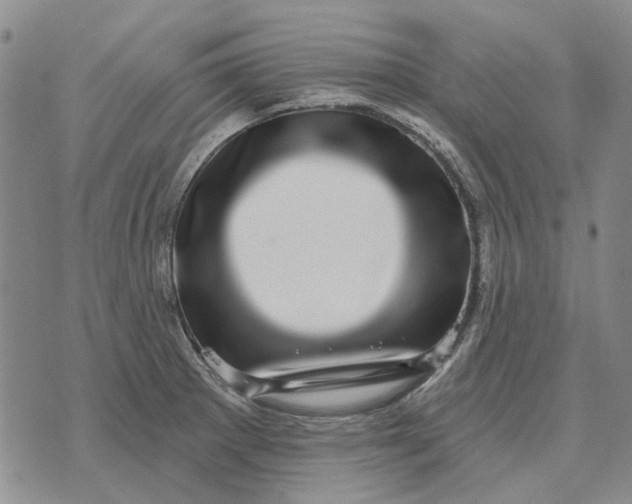 X0000072541281200608041613