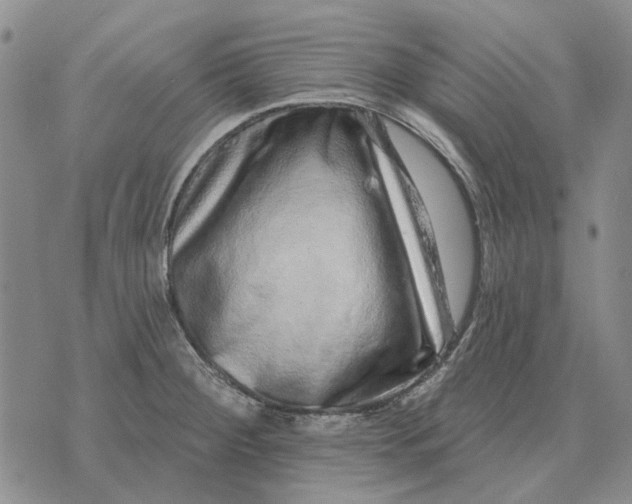 X0000072541284200608041613