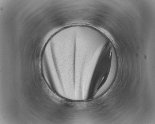 X0000072541288200608041613
