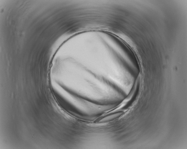 X0000072541296200608041613