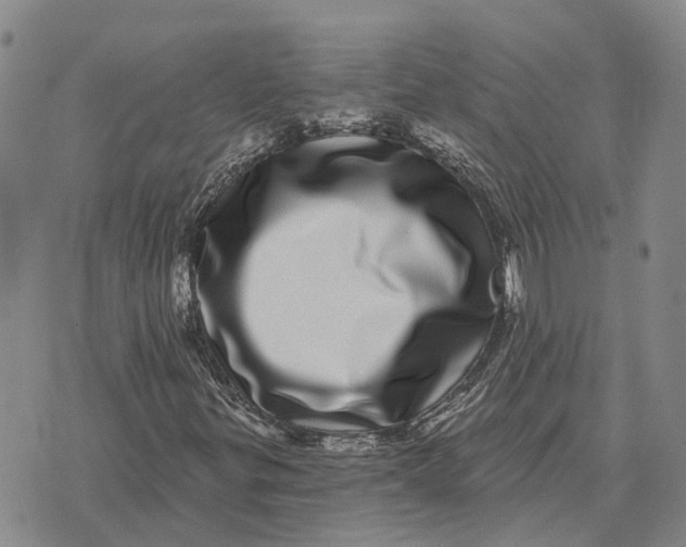 X0000072541299200608041612