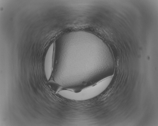 X0000072541300200608041612