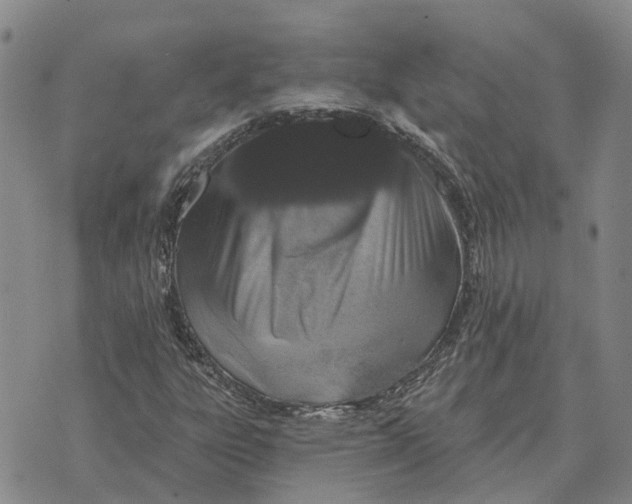 X0000072541303200608041612