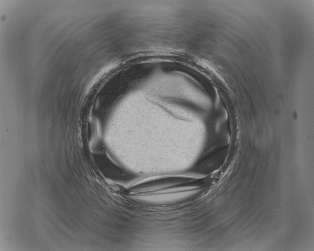 X0000072541307200608041612