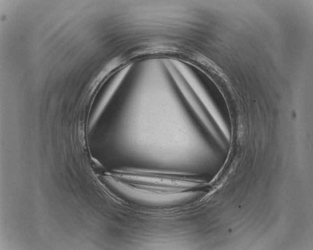 X0000072541321200608041612