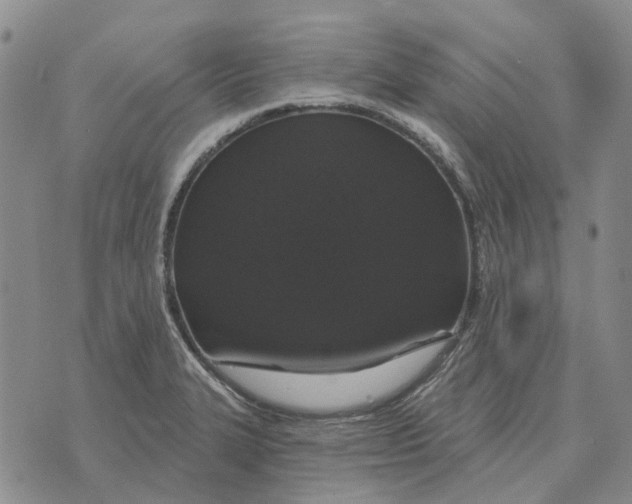 X0000072541327200608041612