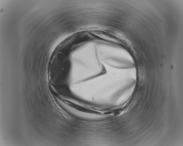 X0000072541328200608041612