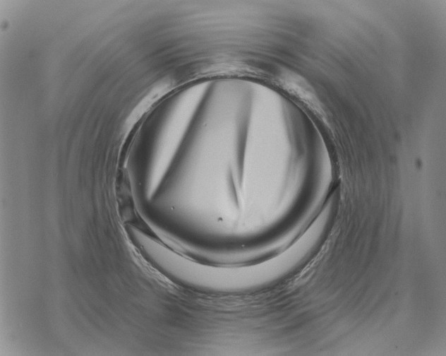 X0000072541330200608041612