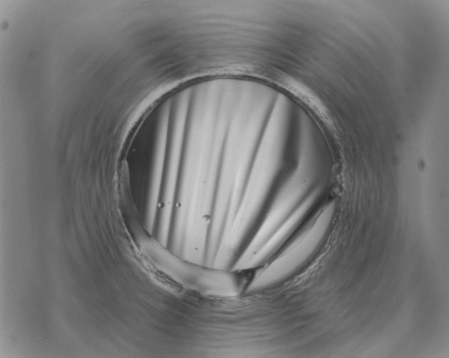 X0000072541332200608041612