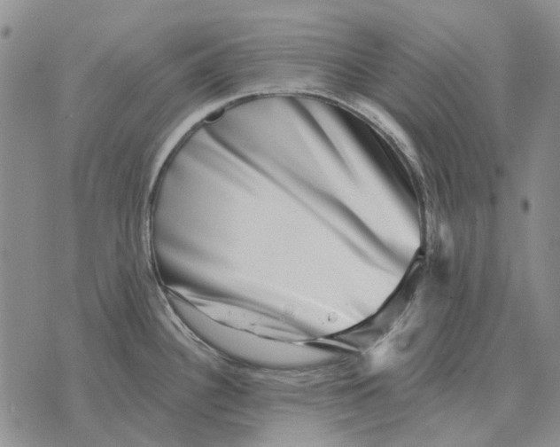 X0000072541340200608041613