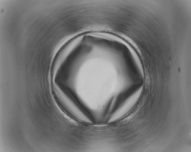 X0000072541343200608041613