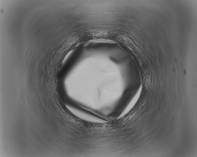 X0000072541345200608041612