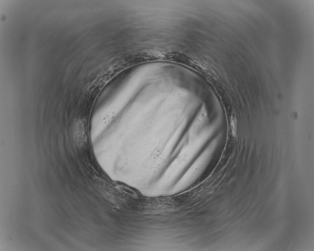 X0000072541347200608041612