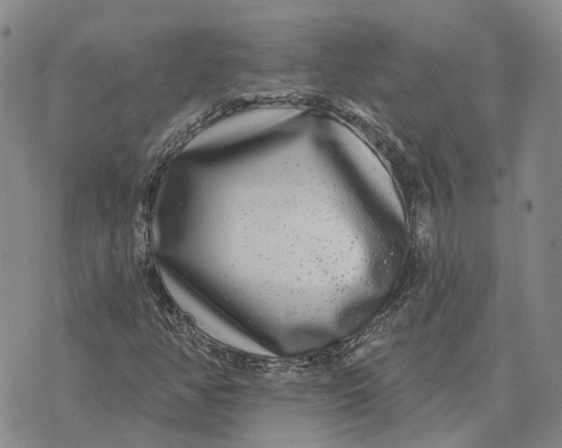 X0000072541350200608041612