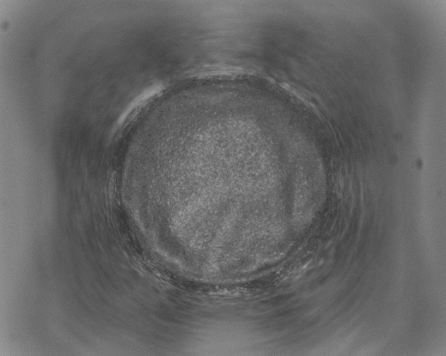 X0000072541351200608041612