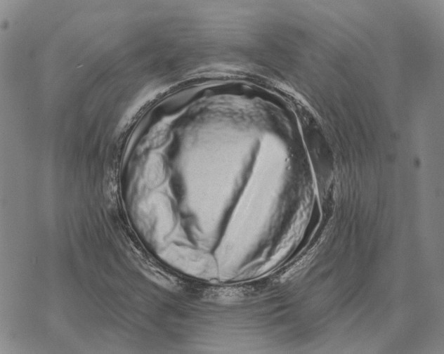 X0000072541355200608041612