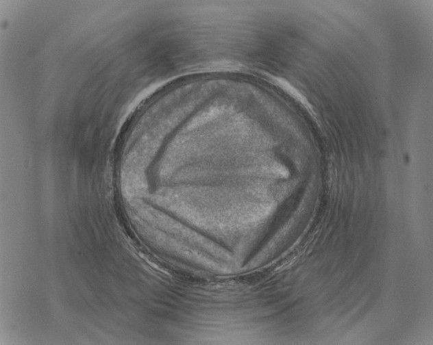 X0000072541364200608041612