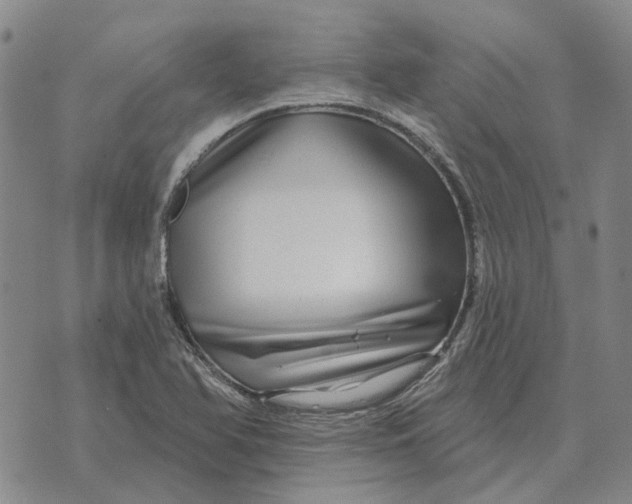 X0000072541366200608041611