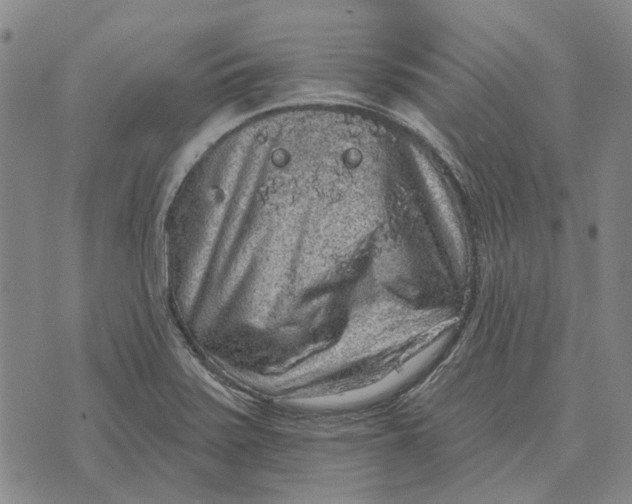 X0000072541371200608041611